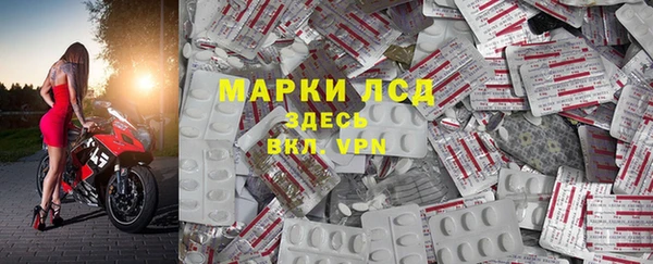 ГАЛЛЮЦИНОГЕННЫЕ ГРИБЫ Беломорск