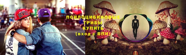не бодяженный Белокуриха