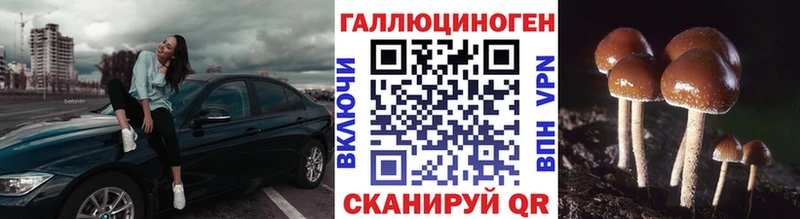 mega рабочий сайт  Волосово  Галлюциногенные грибы Psilocybine cubensis 